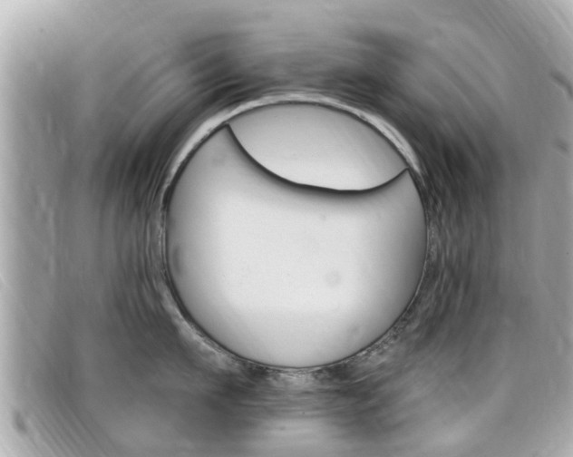 X0000099320911200805020750