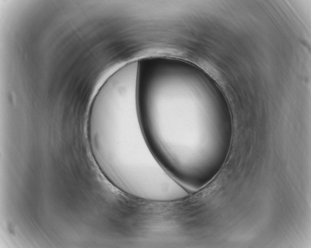 X0000099320912200805020750