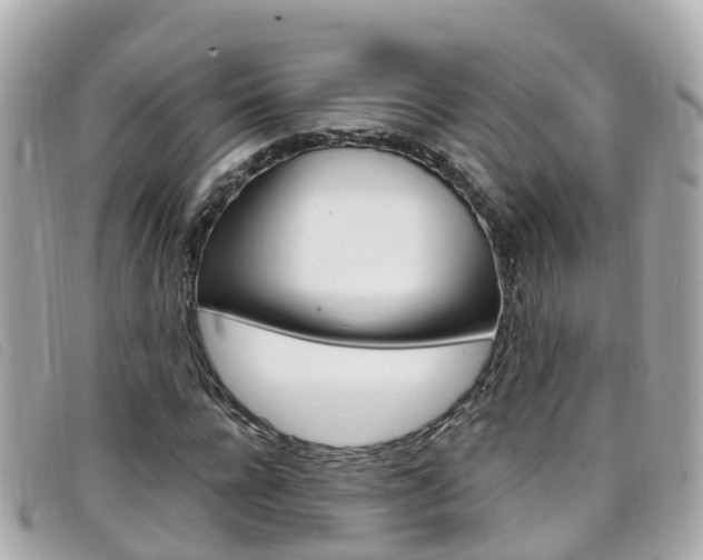 X0000099320920200805020750