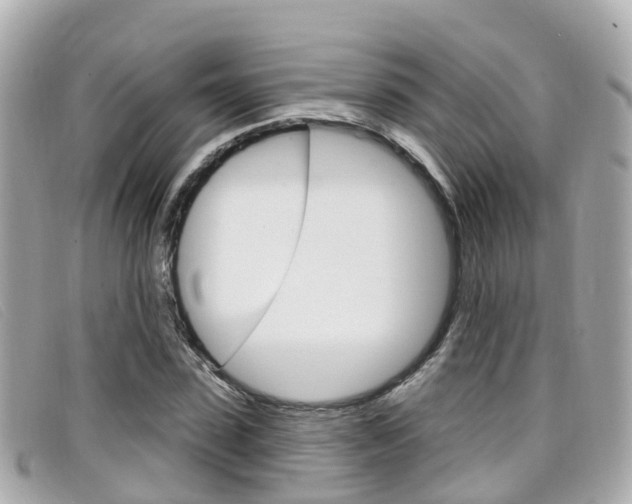 X0000099320923200805020750
