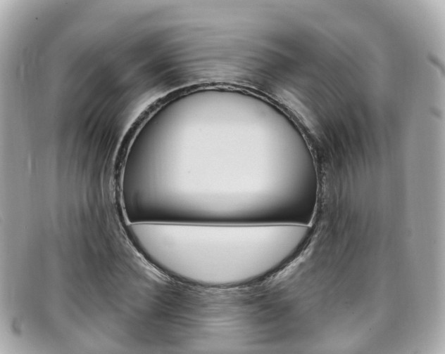 X0000099320924200805020750
