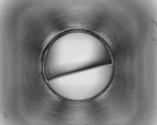 X0000099320927200805020750