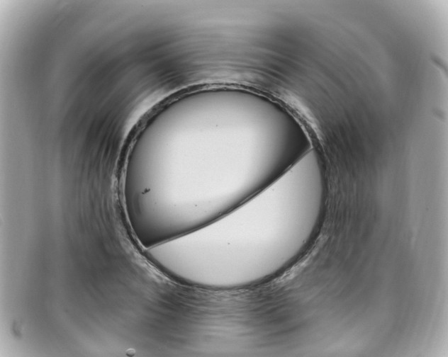 X0000099320928200805020750