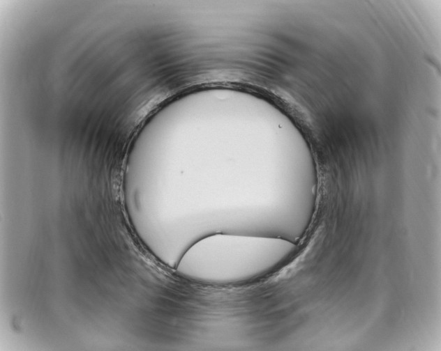 X0000099320929200805020750