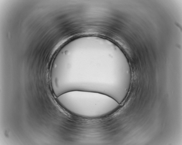 X0000099320933200805020750