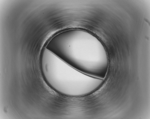 X0000099320934200805020750