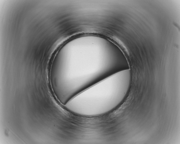 X0000099320935200805020750