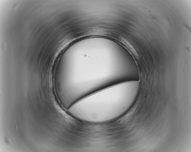 X0000099320939200805020750