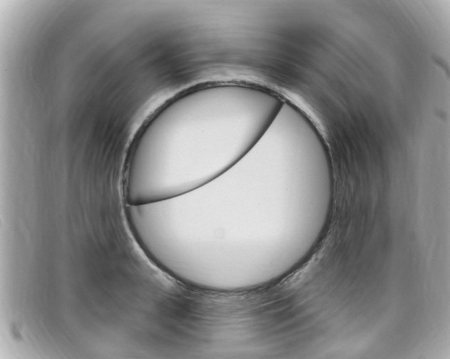 X0000099320943200805020750