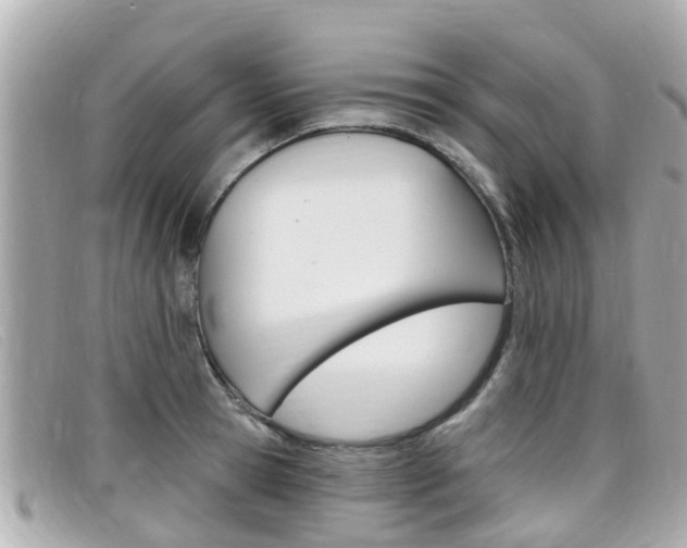 X0000099320945200805020750