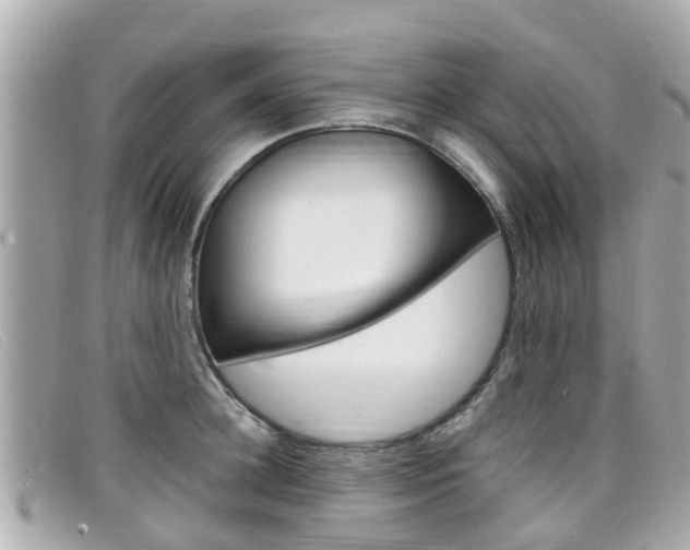 X0000099320948200805020750