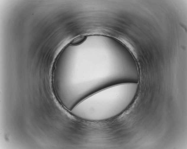 X0000099320949200805020750