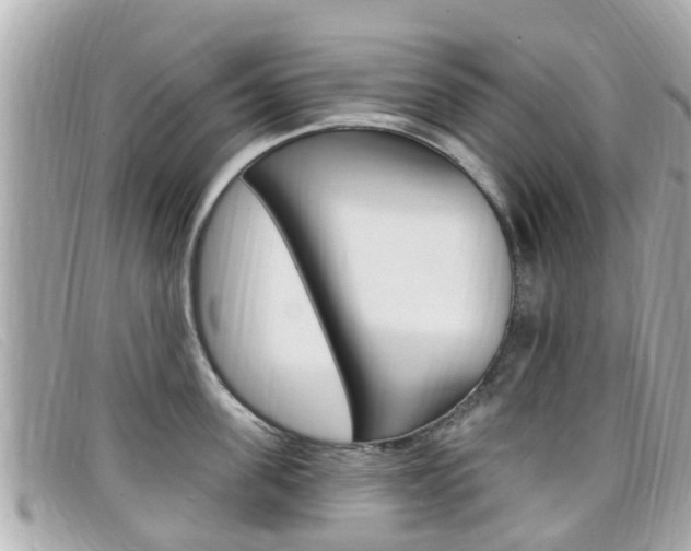 X0000099320955200805020750