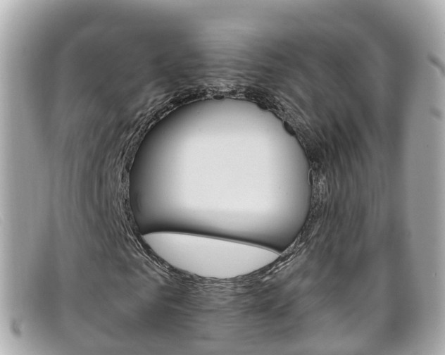 X0000099320961200805020750