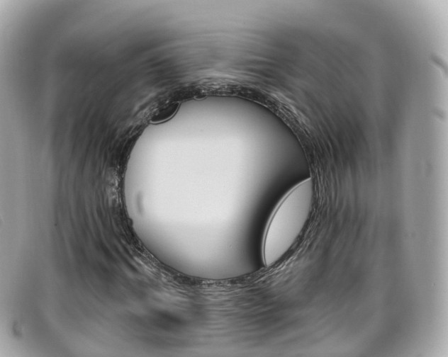 X0000099320964200805020750