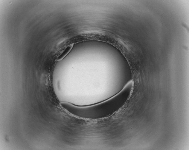 X0000099320965200805020750