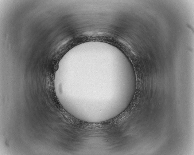 X0000099320966200805020750
