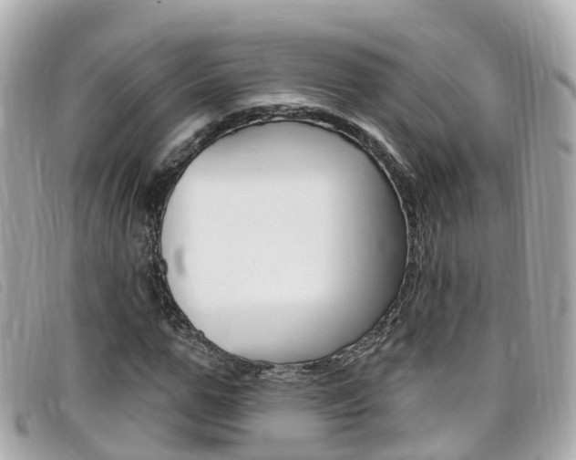 X0000099320967200805020750