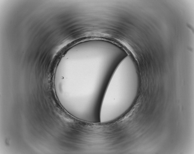 X0000099320971200805020749