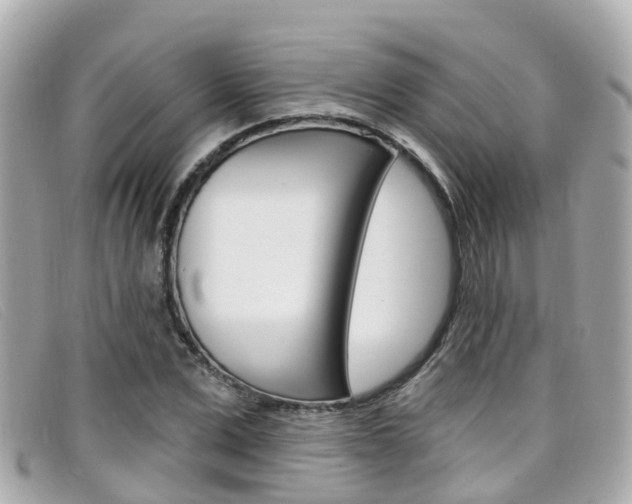 X0000099320975200805020749