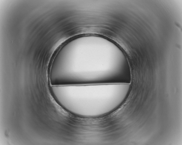 X0000099320980200805020749