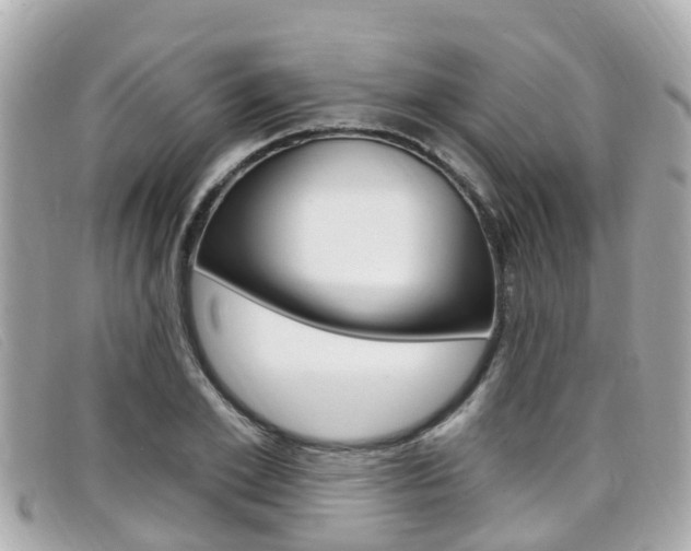 X0000099320981200805020749