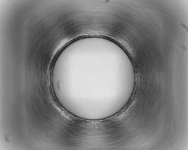 X0000099320982200805020749