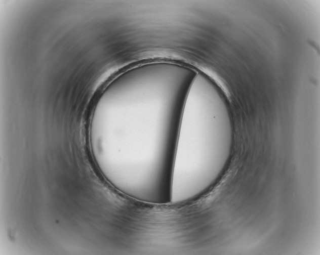 X0000099320983200805020749