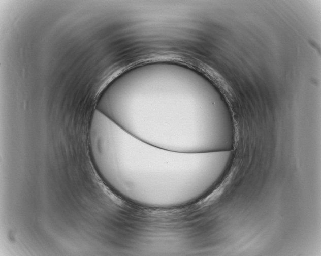 X0000099320985200805020749