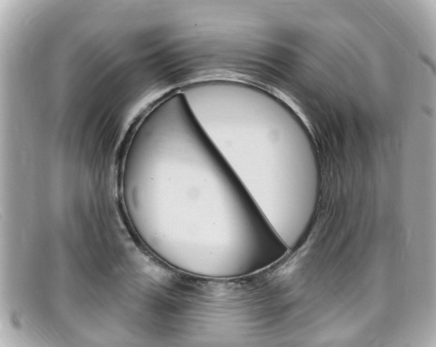 X0000099320987200805020749