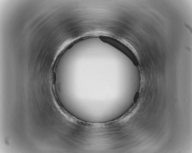 X0000099320989200805020749