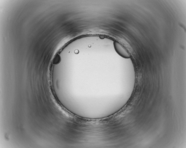 X0000099320990200805020749