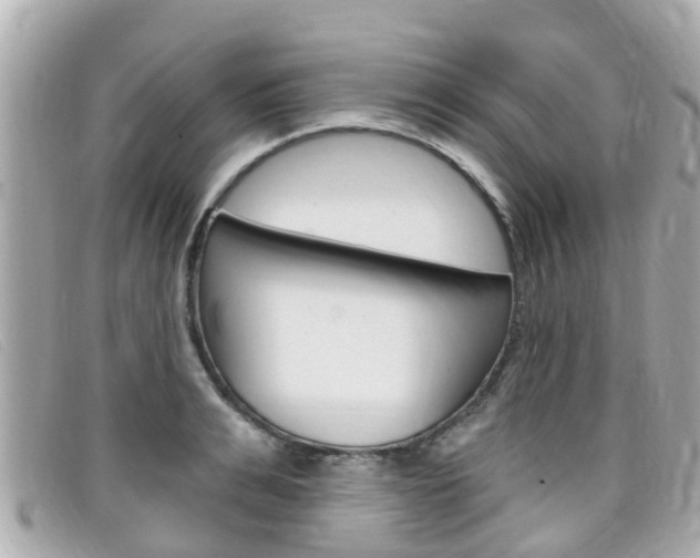 X0000099320991200805020749