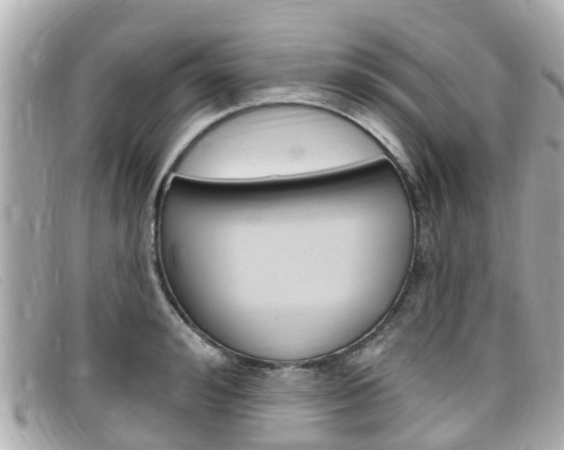 X0000099320992200805020749