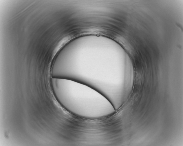 X0000099320994200805020749