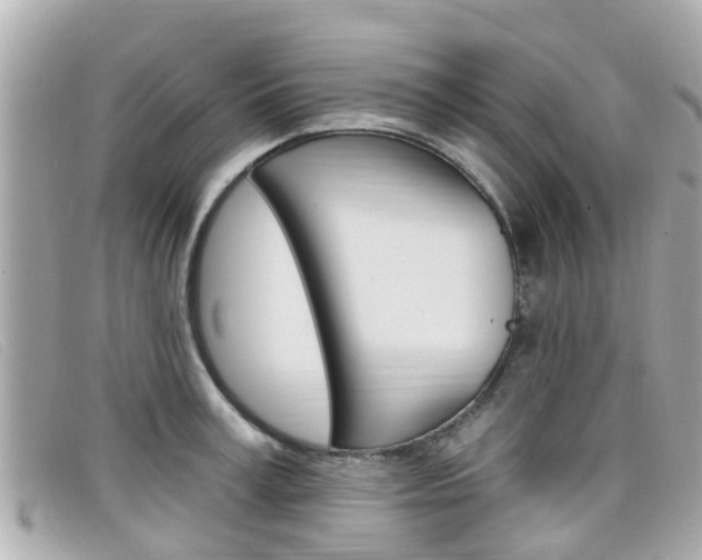 X0000099320995200805020749