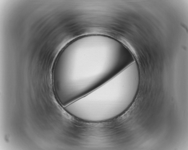 X0000099320996200805020749
