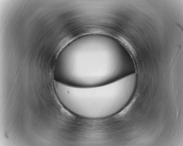 X0000099321001200805020749