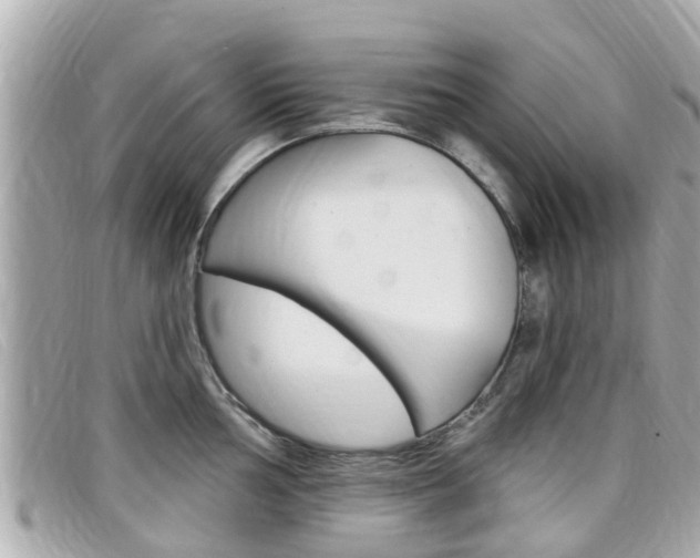 X0000099321002200805020749