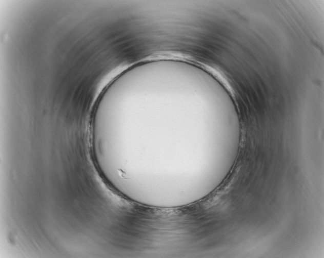 X0000099321003200805020749