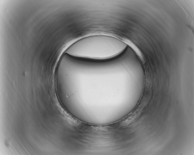 X0000099321004200805020749