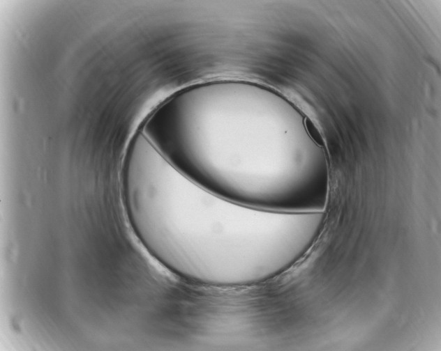 X0000099321005200805020749