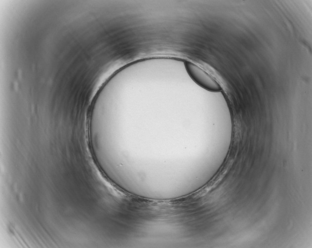 X0000099321006200805020749