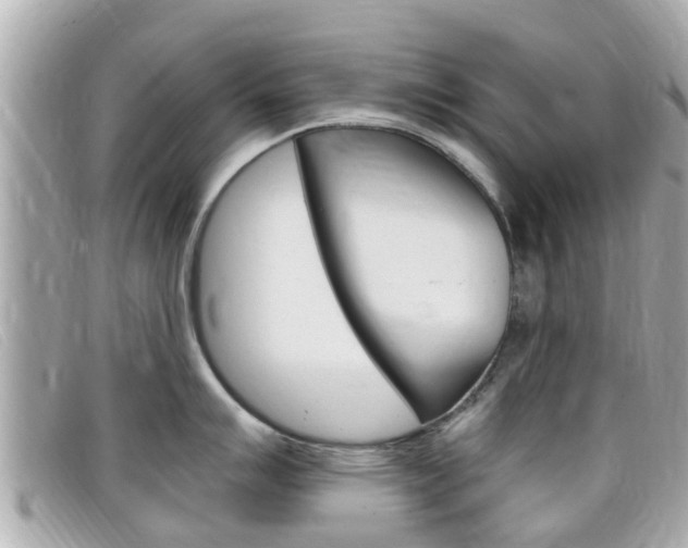 X0000099321007200805020749