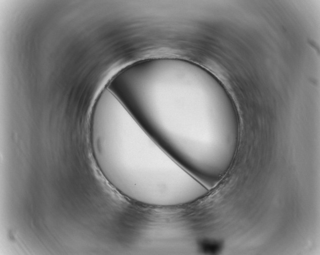 X0000099321008200805020749