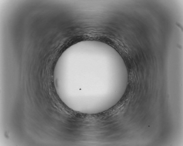 X0000099321009200805020748