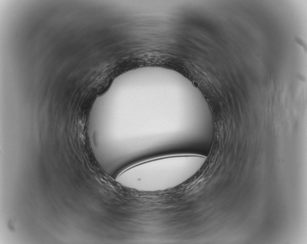 X0000099321010200805020748