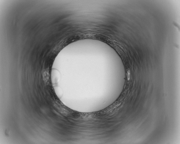 X0000099321011200805020748