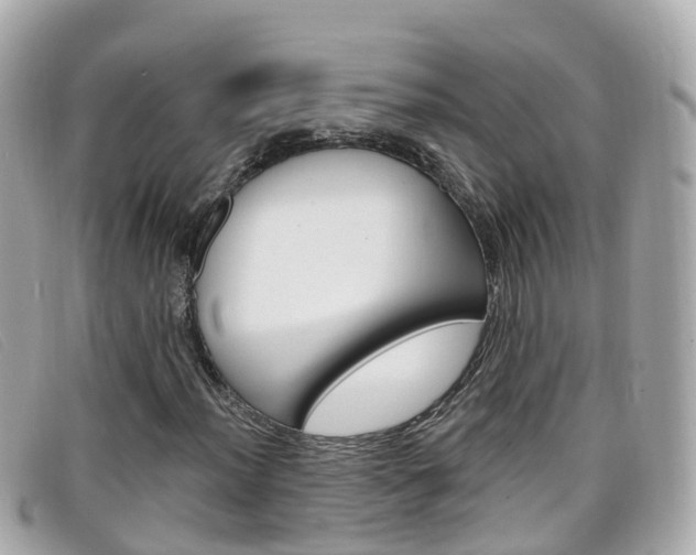 X0000099321012200805020748