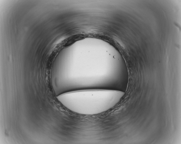 X0000099321016200805020748